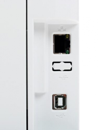 Принтер лазерный Pantum P3010DW