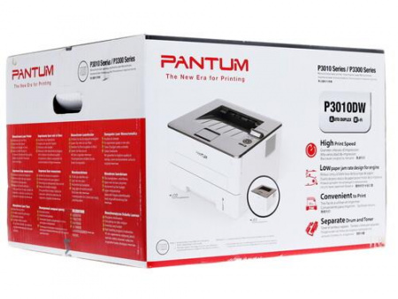 Принтер лазерный Pantum P3010DW